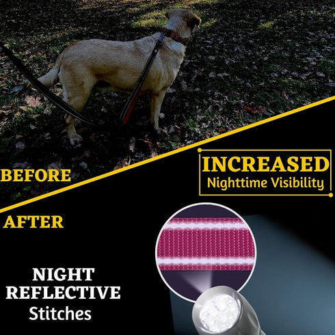 Adityna - Comfortable 6 ft Pink Dog Leash for Small, Medium, Large Dog Breeds - Double Handle Padded with Ultra Soft Neoprene - Heavy Duty, Reflec...