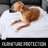 LOCHAS Luxury Fluffy Dog Blanket, Extra Soft and Warm Sherpa Fleece Pet Blankets for Dogs Cats, Plush Furry Faux Fur Puppy Throw Cover, 20''x30'' ...