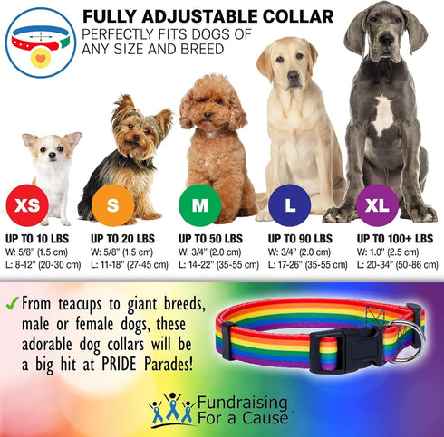 Rainbow Pet Collars for Dog or Cat - Gay Pride Dog and Cat Collars - LGBTQ Accessories for Dogs, Cats, and Pets - Pride Flag Dog and Cat Collar - ...