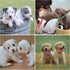 12 Pack Puppy Collars for Litter, Adjustable Puppy ID Collars Soft Nylon Whelping Collars for Newborn Litter Puppy Pets...