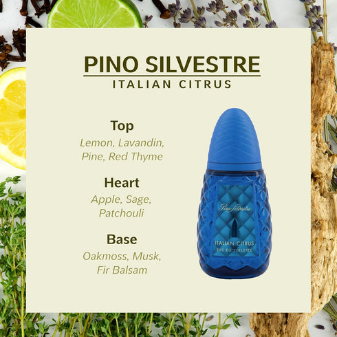 Pino Silvestre Italian Citrus Perfume for Men - Woody, Aromatic Scent - Blended with Lemon, Pine, Apple, Patchouli, and Musk - for Calm, Collectiv...
