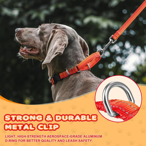 Martingale Dog Collar Light-reflective Polyester Collars for Dogs Whippets, Greyhounds, Saluki, American Bully, No-pull No-escape Safety Training ...