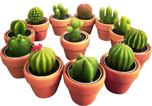 Succulent Candles, Novelty Cactus Tealight Candle Baby Shower Candle Decorations for Party Favors Terrarium Cacti candels Home Decor…...