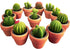 Succulent Candles, Novelty Cactus Tealight Candle Baby Shower Candle Decorations for Party Favors Terrarium Cacti candels Home Decor…...