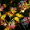 Garden Solar Light Outdoor Decorative, Swaying Butterfly Light, Swaying in The Wind, Solar Outdoor Lights, Yard Patio Pathway Decoration(2 Pack)...