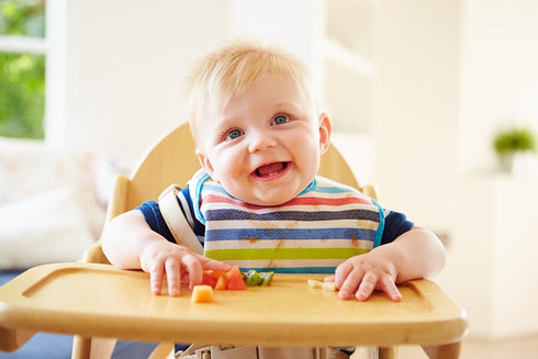 Food Shears - Parent Must-Have for Baby & Toddler Feeding...