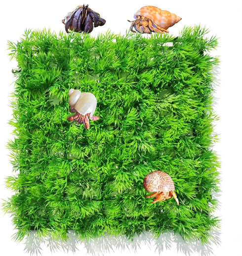 2 PCS Hermit Crab Climbing Toys Faux Grass Mat 10 x 10 Inch Fake Turf Hermit Crab Climbing Wall Fish Tank Artificial Plant Decorations Hermit Crab...