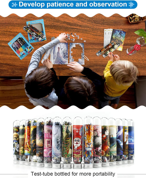 Mini Jigsaw Puzzles for Adults (4 Packs) Double-Sided Puzzle with Reference Blueprint, Micro Puzzle, Comes with Tweezers for Small Puzzles, Suitab...