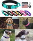 Tactical Dog Collar - Adjustable Military Training Nylon Reflective Collar with Handle and Heavy Duty Durable Metal Buckle for Medium Large Dogs, ...