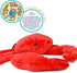 VIAHART Cora The Crab | 18 Inch Stuffed Animal Plush | by TigerHart Toys...