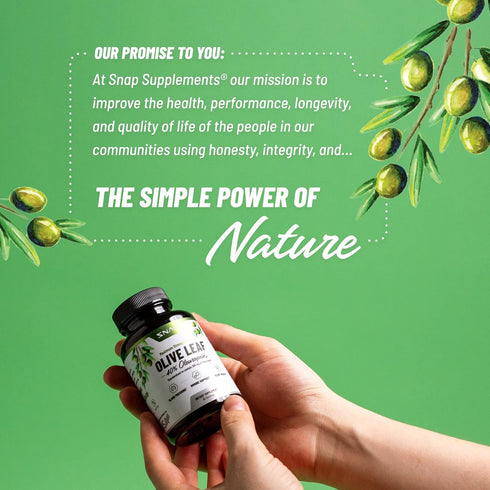 Olive Leaf Extract Capsules - Super Strength 40% Oleuropein for Blood Flow Support, Improve Digestion, Antioxidant Boost Supplement, Improve Brain...