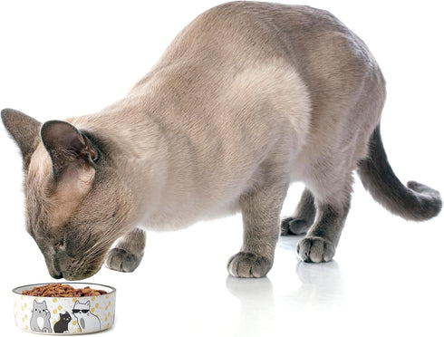 PetRageous 17013 Tangled Kitty Stoneware Dishwasher Safe Cat Bowl with 2-Cup Capacity 5-Inch Diameter by 2-Inch Tall Great for Small Cats or Large...