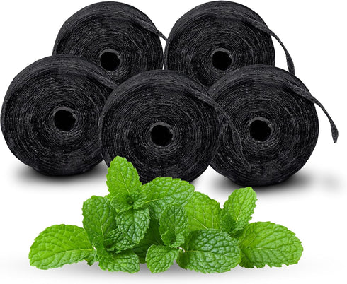 Expandable Floss Treated with Activated Charcoal, Xylitol, Natural Plant Based Wax, Refreshing Mint Flavor - Pack of 5 (Refills Only)...