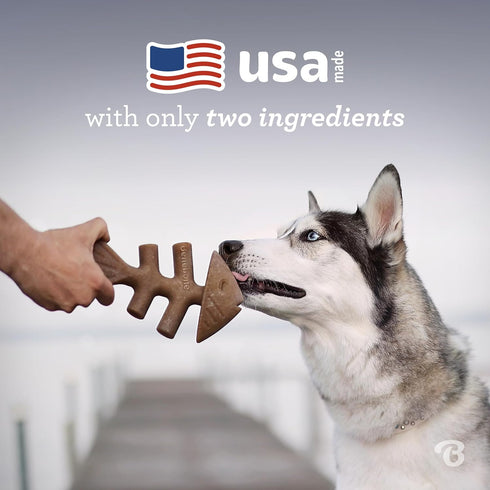 Benebone Tiny 2-Pack Fishbone Durable Dog Chew Toys, Real Fish Flavor, Made in USA...