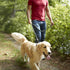 Franklin Pet Supply Nylon Dog Leash - Rope - Reflective - Dog Training - 6 Foot - Dog Walking - Ultra Strong...