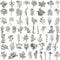 Geolet 300 Pieces Flower Plant Retro Transparent Flower Sticker Decal DIY Natural Scrapbooking Stickers for Laptop Ca Diary Album Journal Planners...