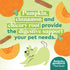 Honest to Goodness Plant Snacks Mellow Belly Pumpkin & Cinnamon Recipe Dog Treats, Enriched with Omega 3s & Postbiotics, 8oz...
