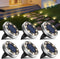 btfarm 6 Pack Solar Ground Lights Outdoor, 8 LED Flat Solar Lights Outdoor Pathway IP65 Waterproof for Garden Pathway Lawn Patio Yard Landscape, W...