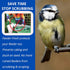Feeder Fresh Bird Feeder and Seed Protector | Keeps Bird Seed for Outside Feeders Clean, Dry and Fresh Preventing Bird Feeder Seed from Caking | W...