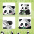 Mini Building Blocks- Bamboo Panda, Party Favors- Micro Blocks Panda Toy for Kids 6 7 8 9 10+, Mini Blocks Building Sets for Adults, Easter/Birthd...