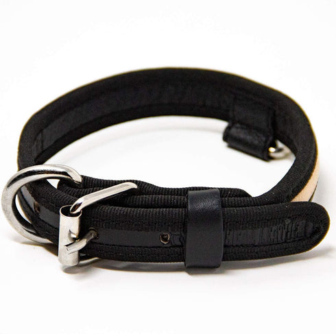 Premium Leather Dog Collar - Best Full Grain Heavy Duty Genuine Leather Collar (Tan, Small)...
