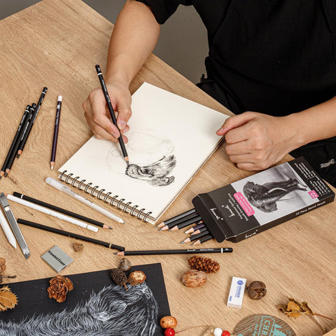 Drawing Sketching Pencil Set - 22 Piece Graphite Pencils, White Gel Pen, White Charcoal Pencils, Eraser Pencils, Erasers, Blending Stumps for Draw...