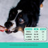 Pet Honesty Dental Health Fresh Sticks - Oral Hygiene Dental Sticks for Dogs - Dental Dog Chews - Freshen Dog Breath, Reduce Plaque + Tartar - 16 ...