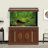 Forest Terrarium Background Huge Tropical Trees Reptile Habitat Background Rainforest Aquarium Background Fish Tank Backdrop Decors Forest Moss De...