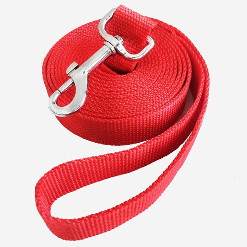 Jackpet Dog Lead Strong Belt Multiple Size 6 Ft 10 Ft 30 Ft Long Line for Midium Large Puppy Outdoor Training Leash(10 Ft Red)...