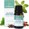 Wellnesse Concentrated Organic Mouthwash with Organic Peppermint Oil and Cinnamon Leaf Oil, Alcohol-Free Natural Mouthwash-Freshens Breath - Oral ...