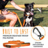 Mighty Paw Dog Leash - Soft Padded Handle - D-Ring and Pet Leash Clip - Carabiner Clip - Weatherproof with Reflective Stitching - 6 Foot Long Dog ...