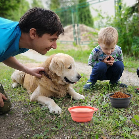 SLSON Collapsible Dog Bowl Foldable Dog Travel Water Bowls Integrated Molding No Plastic Rim Portable Pet Feeding Bowl for Walking Hiking Outdoors...