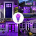 Purple Light Bulbs for Outdoor Porch, 9W(60W Equivalent) E26 Base LED Purple Bulb for Halloween Christmas Wedding,Party,Bar,Holiday Lighting,Home ...