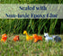 XY-WQ Bath Toys No Hole, for Infants 6-12& Toddlers 1-3, No Hole Bathtub Toys (Animal, 6 Pcs with Mesh Bag)...