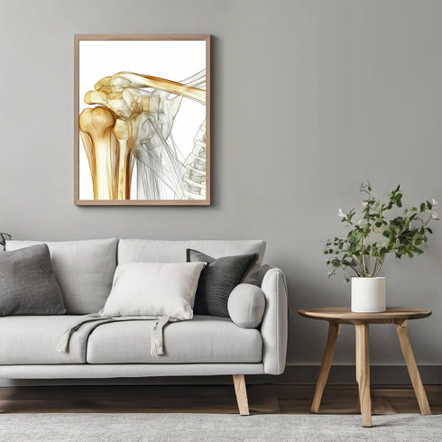 Posterizer 1 pcs-artistic illustration of the human shoulder joint 2-Teachers & Classrooms-Abstract & Modern Art-School and classroom art- unframe...
