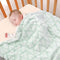 Bertte Plush Baby Blanket for Boys Girls | Swaddle Receiving Blankets Super Soft Warm Lightweight Breathable for Infant Toddler Crib Stroller - 33...