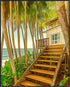 Posterizer 1 pcs-serene coastal scene with tall palm trees and stairway 1-Landscape & Nature Art-Coastal & Nautical Art-Decor for Home & Office- u...