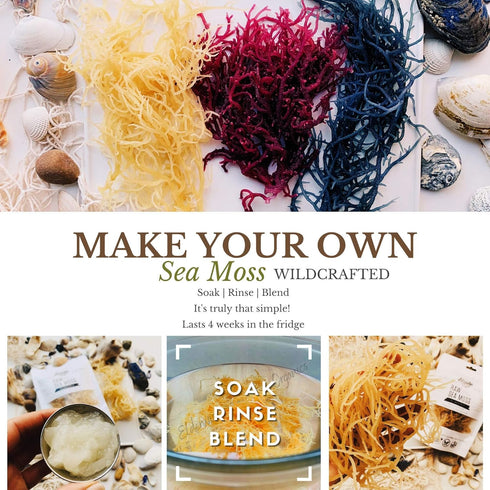 Sea Moss | Aqua Marine | Makes 24oz of Gel | Wildcrafted | Rare | Raw + Non GMO | Sundried | Green (Aqua Marine)...