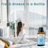 Clean Air Fragrance Oil - ESSLUX Aromatherapy Essential Scented Oils for Diffuser, Massage, Soap, Candle Making Scents, Perfume, Home Fragrance, 3...