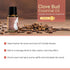 Rocky Mountain Oils Clove Bud Essential Oil - Aromatherapy Diffuser Oils, Topical Massage Oil for Massage Therapy, and Home - 15ml...