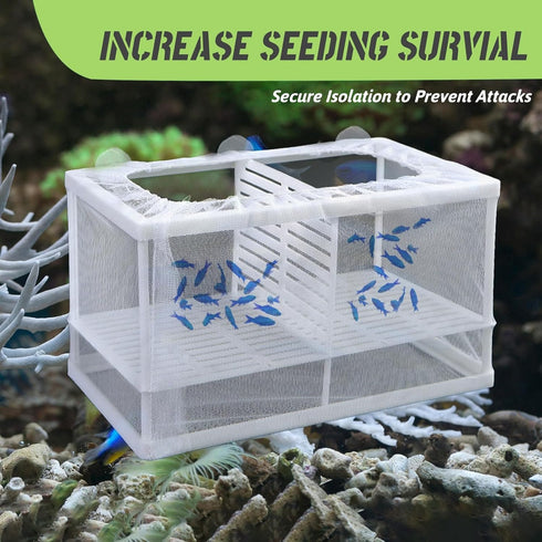 Fish Breeder Box Fish Aquarium Isolation Box Fish Divider Breeder Box with Suction Cups for Baby Fishes Shrimp Clownfish Guppy White...