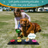 4 Recordable Buttons with Rubber Mat and 25 Stickers - Record and Playback Any Custom Message to Teach Your Dog Voice What They Want...