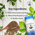 Christopher's Original Formulas Herbal Eye Formula - Eye Vitamins for Sight Care - Natural Eye Support Supplement with Whole Food Herbs for Optima...
