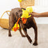 Fringe Studio Plush Dog Toy, Sweet Little Chick, Pet Shop Collection (314137)...