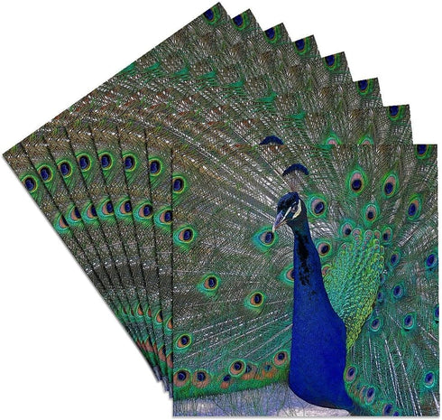 3dRose CST_154797_4 Bright Blue Peacock with Colorful Plummage Ceramic Tile Coasters, Set of 8...