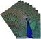 3dRose CST_154797_4 Bright Blue Peacock with Colorful Plummage Ceramic Tile Coasters, Set of 8...