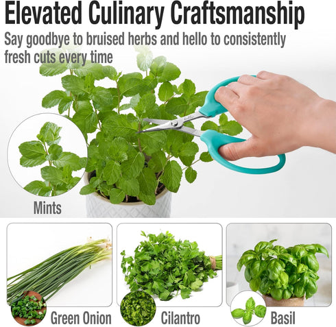 Beaditive Culinary Herb Scissors - Compact 6.5-Inch Stainless Steel Kitchen Scissors - Dishwasher Safe - Sharp Tip for Snipping Fresh Herbs...