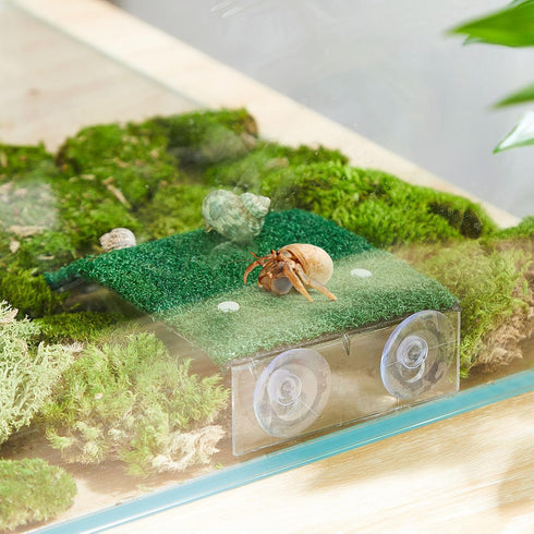 Shappy Hermit Crab Climbing Toys Simulation Grass Hermit Crab Ramp Climbing Ladder Inch Hermit Crab Supplies Reptile Climbing Decor for Hermit Cra...