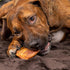 Pet Factory Real Chewz Premium Pig Ears Dog Chew Treats, 100% All-Natural - 7 Count/1 Pack...