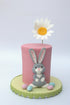 Katy Sue Easter Bunny Silicone Mold for Easter Cake Decorating & Craft. An Easter Bunny Animal Mold. Use with Fondant, Sugar Paste, Chocolate, & A...